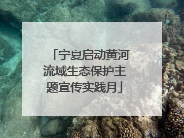 宁夏启动黄河流域生态保护主题宣传实践月