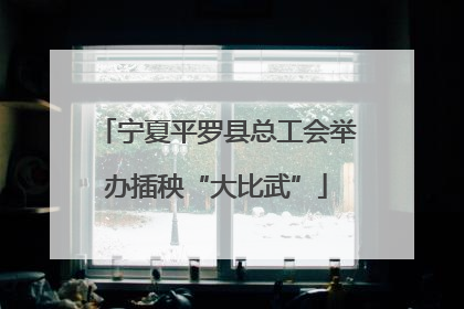 宁夏平罗县总工会举办插秧“大比武”