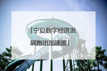 宁夏数字经济发展跑出加速度
