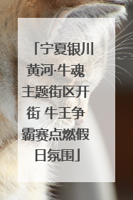宁夏银川黄河·牛魂主题街区开街 牛王争霸赛点燃假日氛围