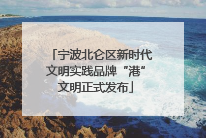 宁波北仑区新时代文明实践品牌“港”文明正式发布