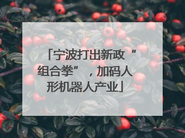 宁波打出新政“组合拳”，加码人形机器人产业
