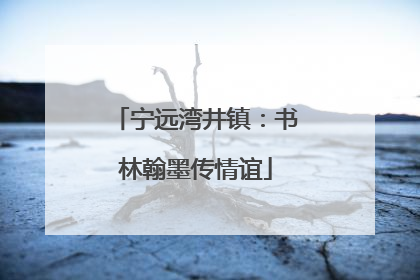 宁远湾井镇：书林翰墨传情谊