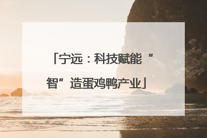 宁远：科技赋能“智”造蛋鸡鸭产业