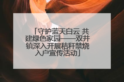 守护蓝天白云 共建绿色家园——双井镇深入开展秸秆禁烧入户宣传活动