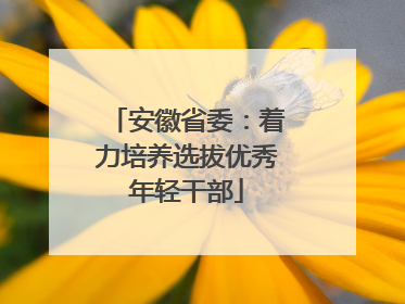 安徽省委：着力培养选拔优秀年轻干部