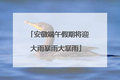 安徽端午假期将迎大雨暴雨大暴雨