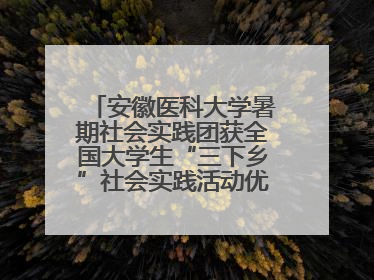 安徽医科大学暑期社会实践团获全国大学生“三下乡”社会实践活动优秀团队