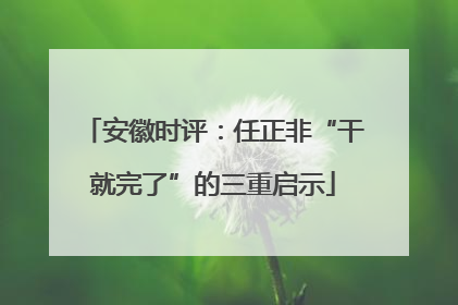 安徽时评：任正非“干就完了”的三重启示
