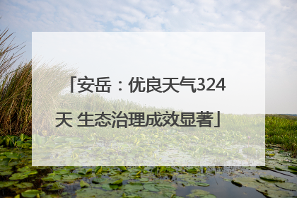 安岳：优良天气324天 生态治理成效显著