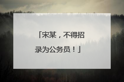 宋某，不得招录为公务员！
