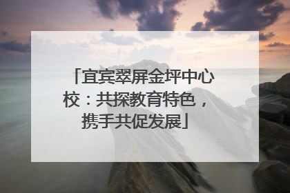 宜宾翠屏金坪中心校：共探教育特色，携手共促发展