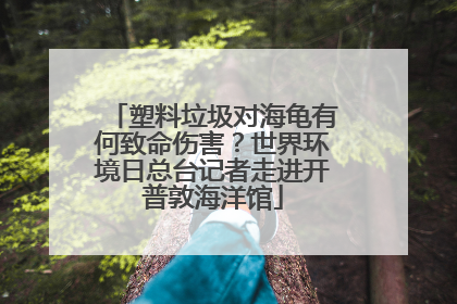 塑料垃圾对海龟有何致命伤害？世界环境日总台记者走进开普敦海洋馆