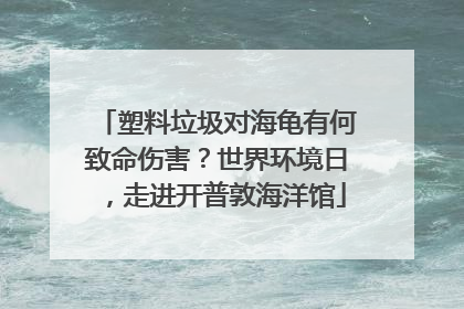 塑料垃圾对海龟有何致命伤害？世界环境日，走进开普敦海洋馆
