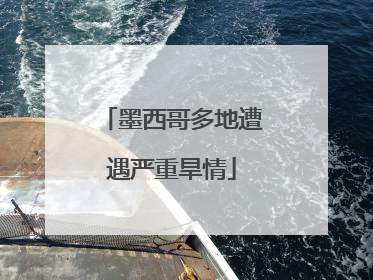 墨西哥多地遭遇严重旱情