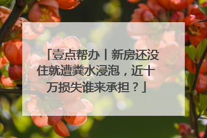 壹点帮办丨新房还没住就遭粪水浸泡，近十万损失谁来承担？