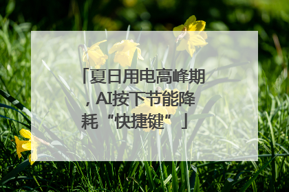 夏日用电高峰期，AI按下节能降耗“快捷键”