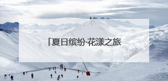 夏日缤纷·花漾之旅——溆浦县社会福利院组织长者开展“畅游薰衣草庄园 共享紫色浪漫”户外活动