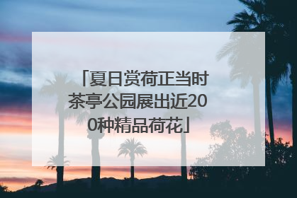 夏日赏荷正当时 茶亭公园展出近200种精品荷花