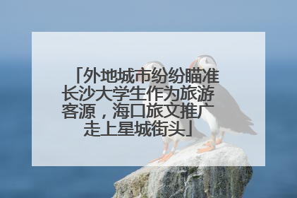 外地城市纷纷瞄准长沙大学生作为旅游客源，海口旅文推广走上星城街头