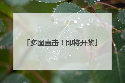 多图直击！即将开桨