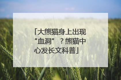 大熊猫身上出现“血洞”？熊猫中心发长文科普