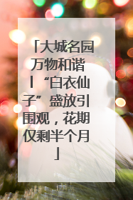 大城名园 万物和谐│“白衣仙子”盛放引围观，花期仅剩半个月