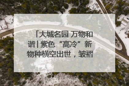 大城名园 万物和谐│紫色“高冷”新物种横空出世，皱褶叶片暗藏进化密码