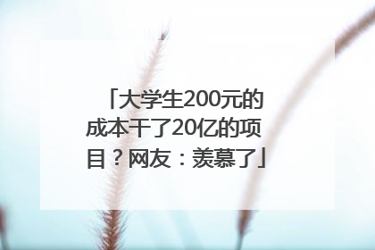 大学生200元的成本干了20亿的项目？网友：羡慕了