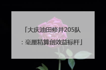 大庆油田修井205队：毫厘精算创效益标杆