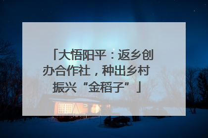 大悟阳平：返乡创办合作社，种出乡村振兴“金稻子”