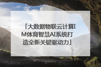大数据物联云计算IM体育智慧AI系统打造全新关键驱动力