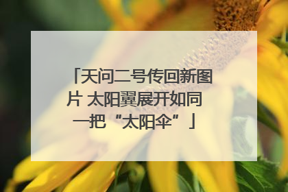 天问二号传回新图片 太阳翼展开如同一把“太阳伞”