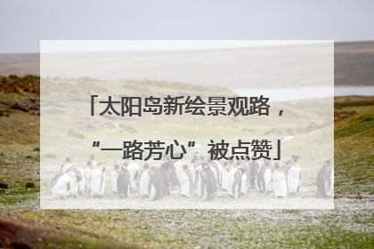 太阳岛新绘景观路，“一路芳心”被点赞