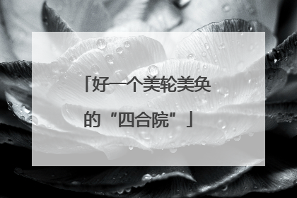 好一个美轮美奂的“四合院”