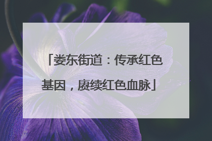 娄东街道：传承红色基因，赓续红色血脉