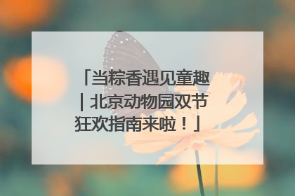 当粽香遇见童趣｜北京动物园双节狂欢指南来啦！