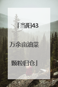 当阳43万余亩油菜颗粒归仓