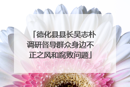 德化县县长吴志朴调研督导群众身边不正之风和腐败问题