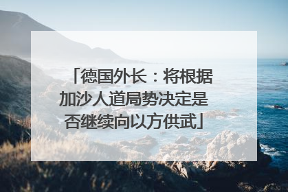 德国外长：将根据加沙人道局势决定是否继续向以方供武