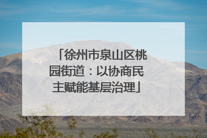 徐州市泉山区桃园街道：以协商民主赋能基层治理
