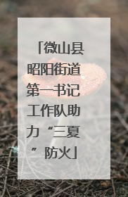 微山县昭阳街道第一书记工作队助力“三夏”防火