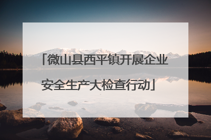 微山县西平镇开展企业安全生产大检查行动