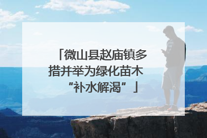微山县赵庙镇多措并举为绿化苗木“补水解渴”