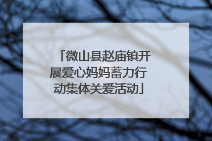 微山县赵庙镇开展爱心妈妈蓄力行动集体关爱活动
