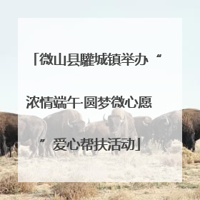 微山县驩城镇举办“浓情端午·圆梦微心愿”爱心帮扶活动