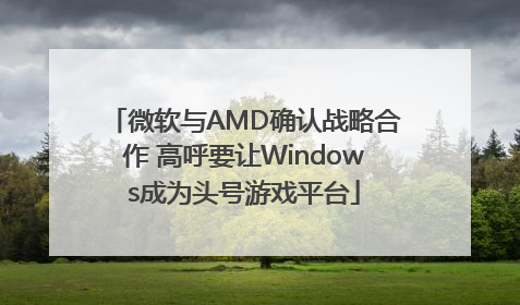 微软与AMD确认战略合作 高呼要让Windows成为头号游戏平台