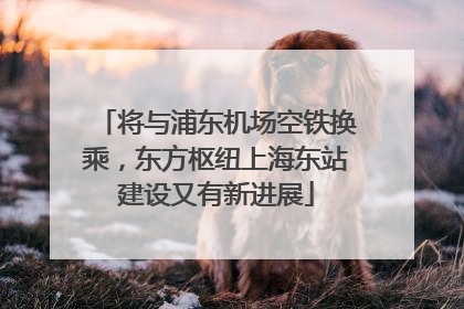 将与浦东机场空铁换乘，东方枢纽上海东站建设又有新进展