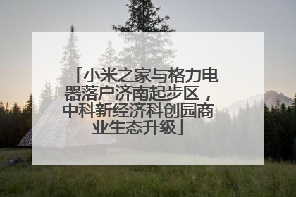 小米之家与格力电器落户济南起步区，中科新经济科创园商业生态升级