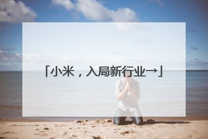 小米，入局新行业→